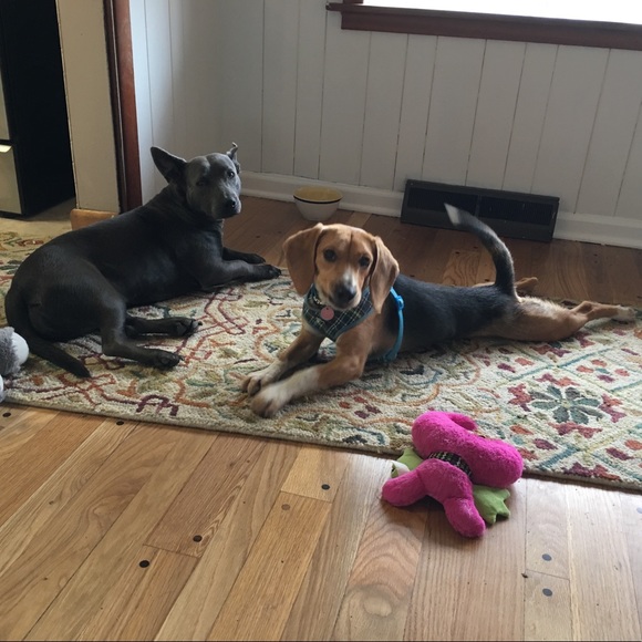 Welcome to Peachy Thang! - Picture 6 of 6